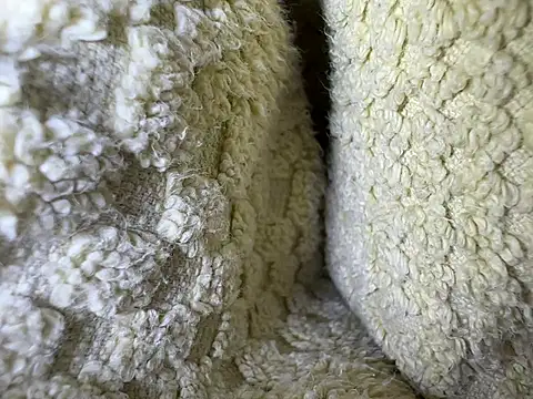 Snapshot of Amarok39 chatting on February 2025 12:54:01 PM Amarok39 online show from February 2025 12:54:01 PM