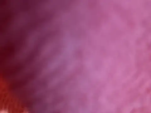 Snapshot of Amarok39 chatting on October 2025 07:47:01 PM Amarok39 online show from October 2025 07:47:01 PM