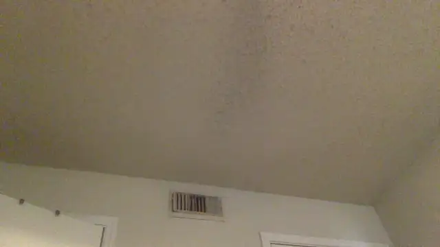 GForceSavage online show from February 2026 06:17:01 PM