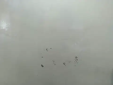 Rasta tattooed online show from March 2026 06:17:02 AM