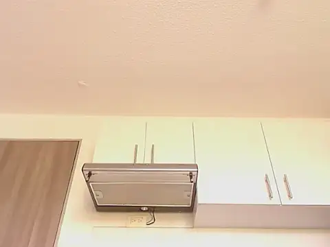 chanel 1041 online show from March 2026 02:33:02 PM