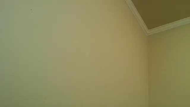 Snapshot of YelpedAverting chatting on December 2025 12:49:02 AM YelpedAverting online show from December 2025 12:49:02 AM