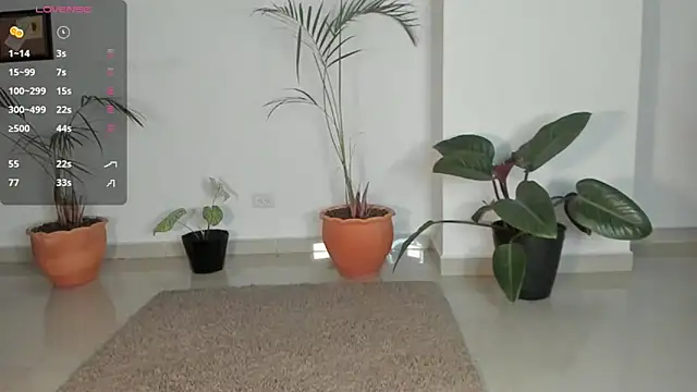 AnaHenao online show from December 2025 11:55:02 PM