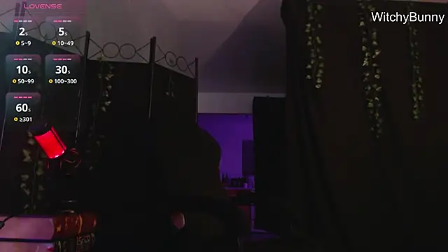 Snapshot of witchybunny chatting on December 2024 10:58:02 AM witchybunny online show from December 2024 10:58:02 AM