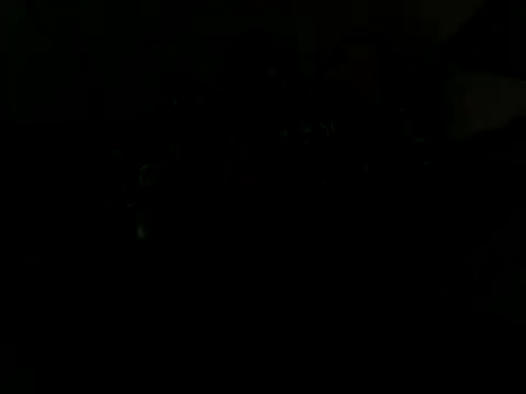 lusty lilly online show from January 2025 01:56:01 AM