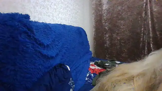 CarlyTreat online show from November 2025 04:00:01 PM