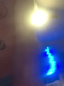 trash4cash online show from February 2025 12:33:01 AM