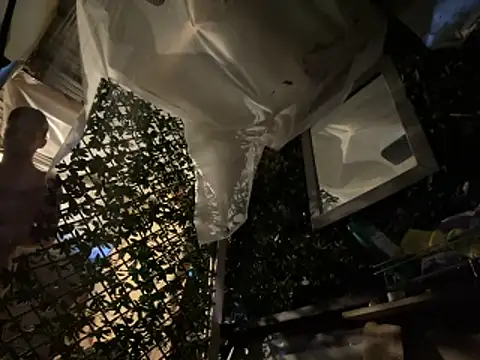 trash4cash online show from March 2026 12:03:01 AM