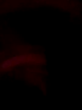 ySqmbVanbe online show from December 2025 09:36:01 AM