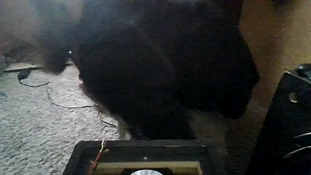 ySqmbVanbe online show from March 2026 05:52:02 PM