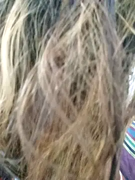 Snapshot of littlequeen77 chatting on March 2025 08:31:02 PM littlequeen77 online show from March 2025 08:31:02 PM