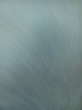 Snapshot of littlequeen77 chatting on March 2025 04:03:02 AM littlequeen77 online show from March 2025 04:03:02 AM