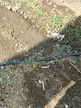 DADDY69SS online show from February 2026 08:51:01 AM