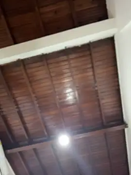 emiss  online show from December 2025 03:10:01 PM