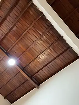 Snapshot of emiss_ chatting on February 2026 02:37:02 PM emiss online show from February 2026 02:37:02 PM