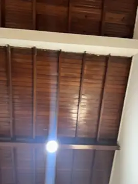 Snapshot of emiss_ chatting on February 2026 03:05:01 PM emiss online show from February 2026 03:05:01 PM