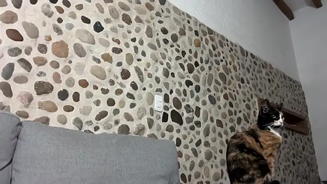 Snapshot of David_Brown18 chatting on October 2025 03:45:01 AM David Brown18 online show from October 2025 03:45:01 AM