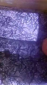 Snapshot of shuhana_ chatting on December 2024 01:10:01 AM shuhana online show from December 2024 01:10:01 AM