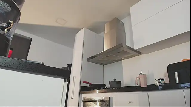 Snapshot of milaivanova chatting on February 2025 06:55:01 PM milaivanova online show from February 2025 06:55:01 PM