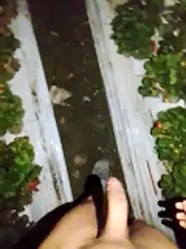 Snapshot of dfff125ff chatting on November 2025 05:39:02 AM dfff125ff online show from November 2025 05:39:02 AM