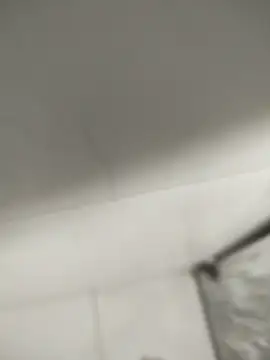 Snapshot of flavio81augusto chatting on February 2025 12:06:02 PM flavio81augusto online show from February 2025 12:06:02 PM