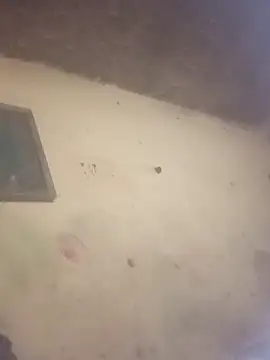 Snapshot of sexlockoxxx chatting on January 2026 11:10:02 PM sexlockoxxx online show from January 2026 11:10:02 PM