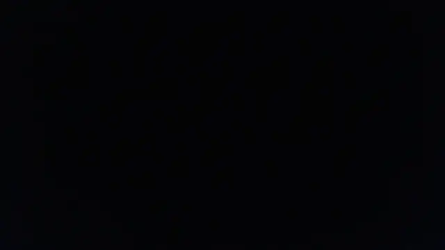 Snapshot of Sofii_floyd_ chatting on March 2025 03:20:01 PM Sofii floyd online show from March 2025 03:20:01 PM