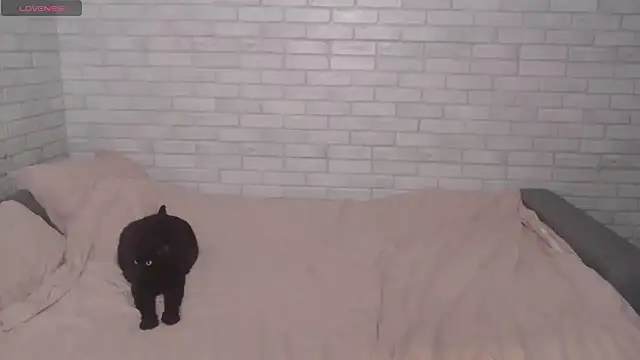 Fuckyoursecretary69 online show from December 2024 12:19:02 PM