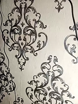 Snapshot of Mishika_Gill chatting on January 2025 12:27:02 PM Mishika Gill online show from January 2025 12:27:02 PM