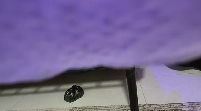 sweet-greedy online show from February 2025 05:19:02 PM