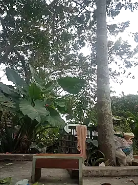 Snapshot of zizi_public chatting on December 2024 07:26:02 AM zizi public online show from December 2024 07:26:02 AM