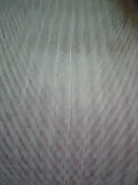 Snapshot of zizi_public chatting on March 2025 01:59:01 AM zizi public online show from March 2025 01:59:01 AM