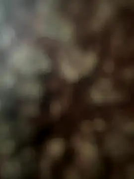 FrutenFratenR9 online show from November 2025 11:21:02 AM