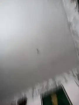 biancchi online show from February 2026 11:11:01 AM