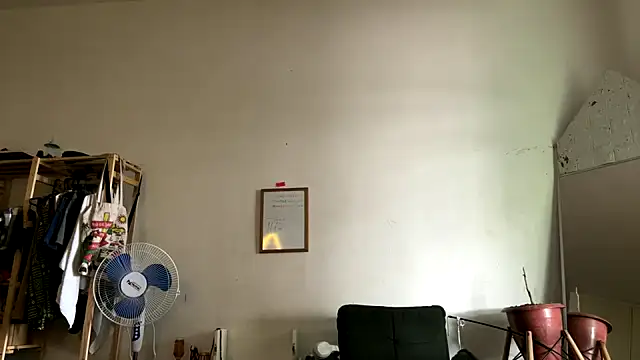 gerson173Hugo online show from February 2026 02:37:02 PM