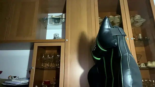 Hank 04 online show from December 2024 12:07:02 AM