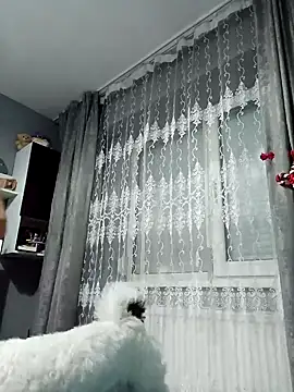 Snapshot of MikySWeet7 chatting on December 2024 07:24:02 PM MikySWeet7 online show from December 2024 07:24:02 PM