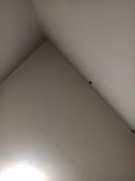 Snapshot of Eroticchocolate91 chatting on October 2025 04:24:02 PM Eroticchocolate91 online show from October 2025 04:24:02 PM