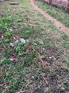 Snapshot of Black-mamba-madingo chatting on October 2025 05:14:02 PM Black-mamba-madingo online show from October 2025 05:14:02 PM