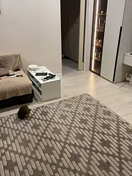 Big Mini online show from January 2025 12:46:01 AM