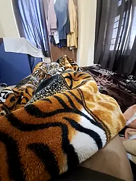 Snapshot of villagb12 chatting on February 2025 04:15:01 AM villagb12 online show from February 2025 04:15:01 AM