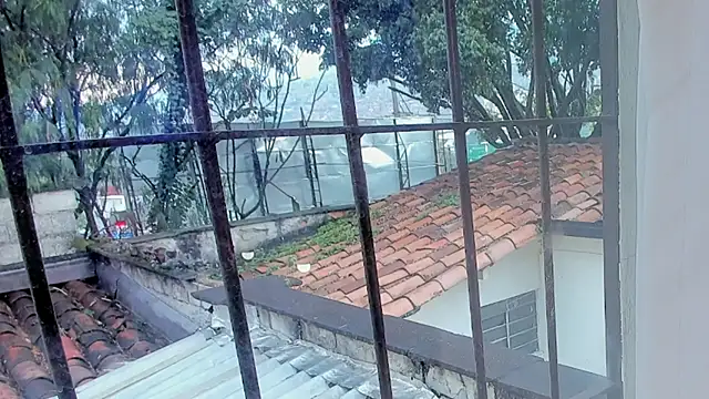 barbara cambels online show from September 2025 08:25:01 PM