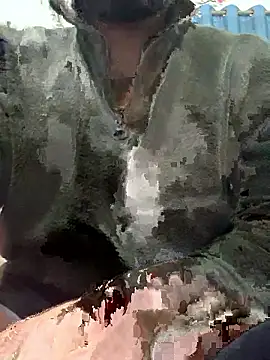 mrtoy121 online show from January 2026 05:15:01 PM