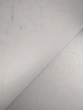 mastbacio online show from November 2025 06:29:01 PM