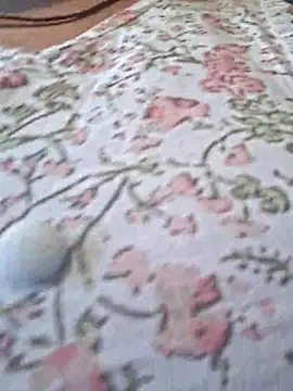 Snapshot of Priya_Bong chatting on February 2026 03:48:02 AM Priya Bong online show from February 2026 03:48:02 AM