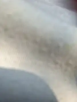 Snapshot of Priya_Bong chatting on February 2026 04:00:01 AM Priya Bong online show from February 2026 04:00:01 AM