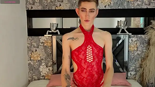 dominic thailor online show from March 2026 05:13:02 PM