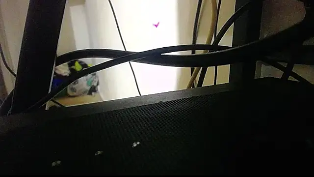 harry lia  online show from November 2025 07:25:02 PM