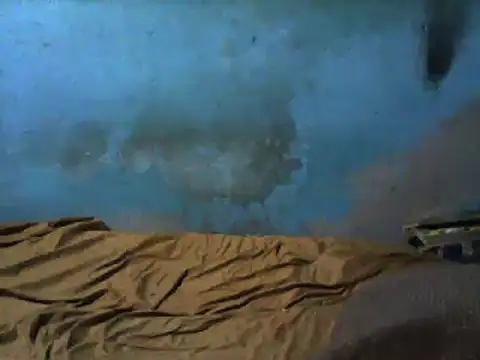 Snapshot of little__joy chatting on March 2025 02:37:02 AM little joy online show from March 2025 02:37:02 AM