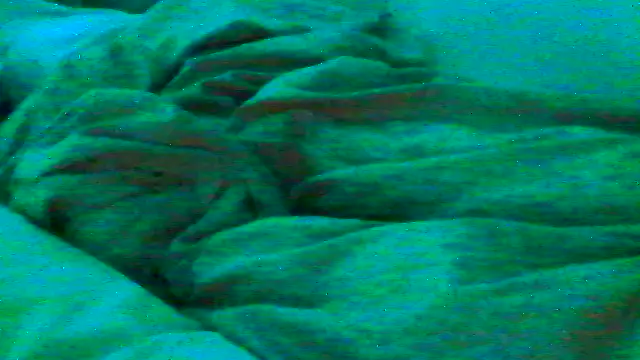 Snapshot of Everydayonli chatting on January 2026 01:09:02 AM Everydayonli online show from January 2026 01:09:02 AM